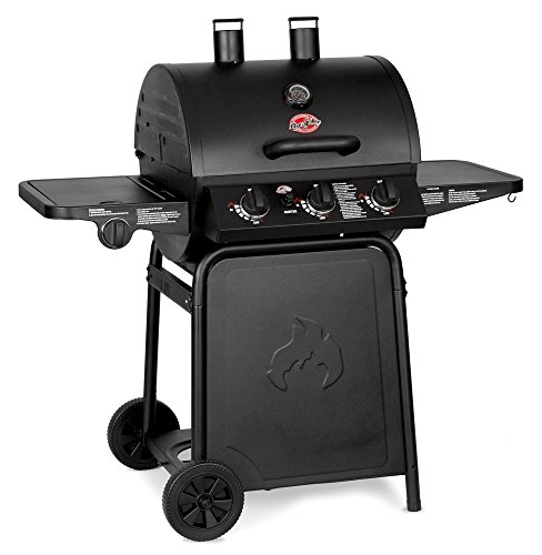 Char-Griller 3001 Grillin’ Pro 40,800-BTU Gas Grill Review