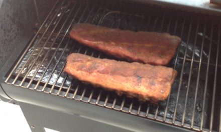 Rec Tec  Mini Pellet Grill / First Try at Ribs