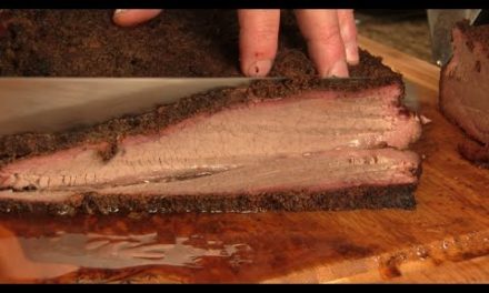 Texas Style Beef Brisket on the RecTec RT-680 Pellet smoker