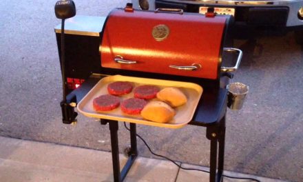 Rec Tec Mini Pellet Grill Modifications / Sirlion Burgers On the Grill Grates