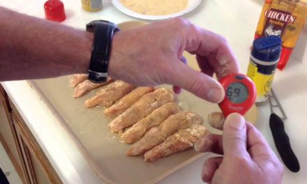 Rec Tec Mini Pellet Grill / Home Made Spicy Chicken Strips