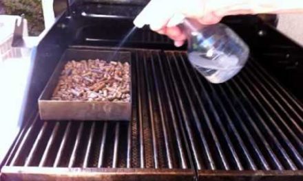 More on using BBQ Pellets on a Gas Grill