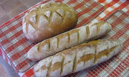 100% Whole Wheat Bread in 5 Minutes Baked on a MAK Pellet Grill