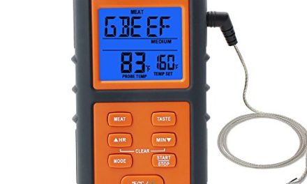 ThermoPro TP06S Electronic Digital Smoker Thermometer with Stainless Steel Probe for BBQ Oven Grill Food Meat Review