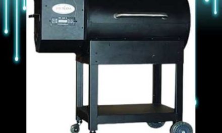 Louisiana Grills 60700-LG700 LG 700 Pellet Grill 707 Square Inch  Test