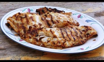 How to Grill Fresh Florida Grouper using Everglades Fish & Chicken Seasoning