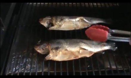 Traeger Smoked Trout