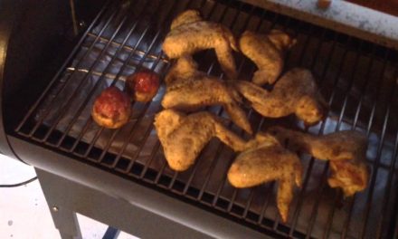 Pellet Grill Rec Tec Mini / Review / First Cook Chicken Wings