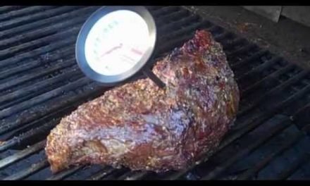 Tri Tip 101: 5 Starter Tips Before You Grill