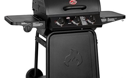 Char-Griller 3001 Grillin’ Pro 40,800-BTU Gas Grill Review