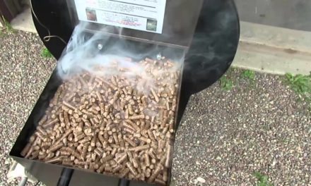 My Traeger pellet grill scares me after this,