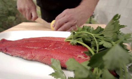 Healthy Smoked Salmon Recipe by Traeger Grills