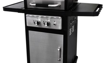Dyna-Glo Black & Stainless Premium Grills, 2 Burner, Liquid Propane Gas Review