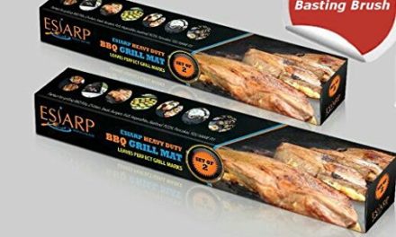 ESIARP Kitchen and Grill BBQ Mat with Free Basting Brush, Non Stick Re-Usable Barbecue Mat Heavy Duty PFOA Free, Set of 2 Review