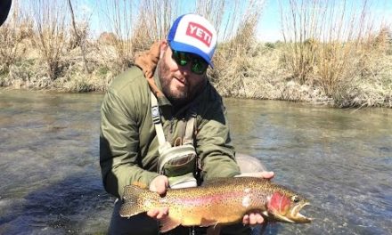 BIG SPRING RAINBOWS