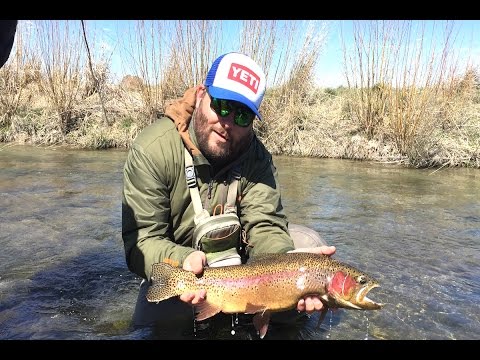 BIG SPRING RAINBOWS