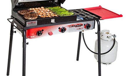 Big Gas 3 Burner Grill Black/red Review
