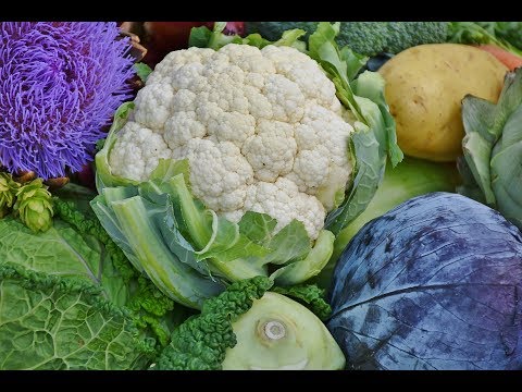 cauliflower and chicken breast recipes | chicken and cauliflower recipes healthy | baked cauliflower