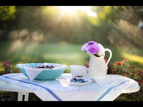 Breakfast with the Bears at Grouse Mountain | Desayuno con los osos en Grouse Mountain