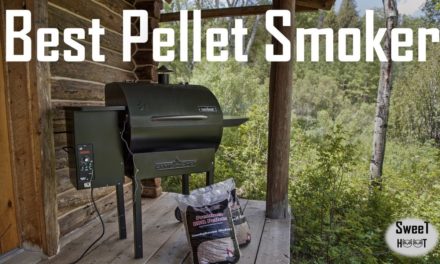 Top 10 Best Pellet Smoker – Best Pellet Grills Review 2017