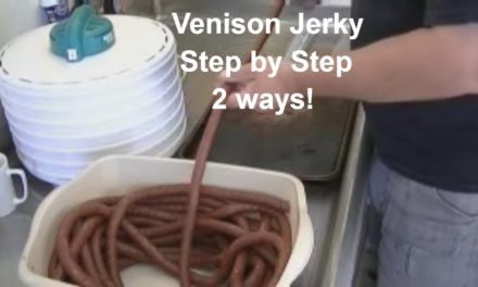 Venison Jerky two different ways! Step by step.
