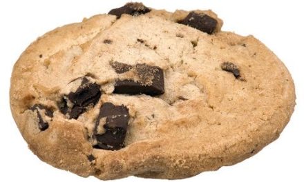 skinny chocolate chip cookies | diabetic chocolate chip cookies | sugar free chocolate cookie recipe