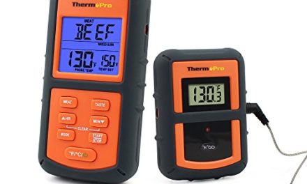 ThermoPro TP07 Remote Wireless Digital Kitchen Cooking Food Meat Thermometer with Timer for BBQ Smoker Grill Oven, 300 Feet Range Review
