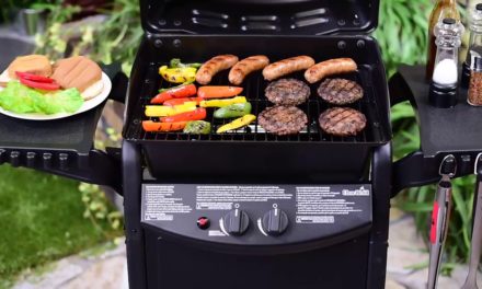 Char Broil 2 Burner Gas Grill