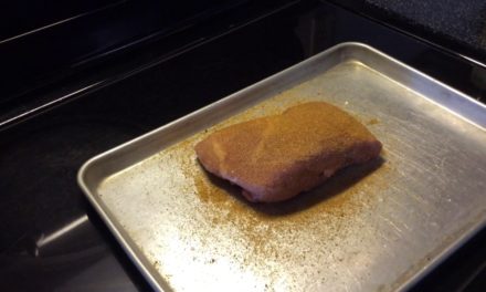 Pork Sirloin Roast On The Rec Tec
