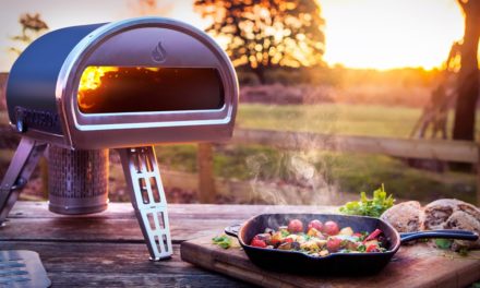 TOP 5 Outdoor Pizza Ovens 2017 (price included)
