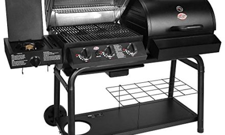 Char-Griller 5050 Duo Gas-and-Charcoal Grill Review