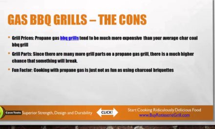 Gas And Charcoal Grill Comparison