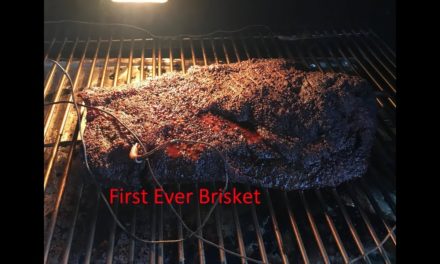 Smoking Our First Brisket on the Rec Tec 680