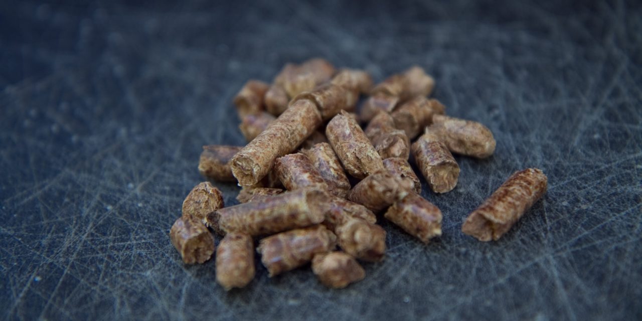 BBQr’s Delight Wood Pellets Review