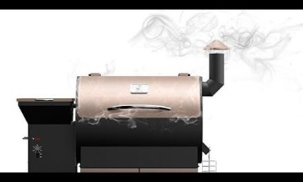 Z GRILLS ZPG-700D Wood Pellet Barbecue Grill and Smoker Review – Best Outdoor Backyard Grill??