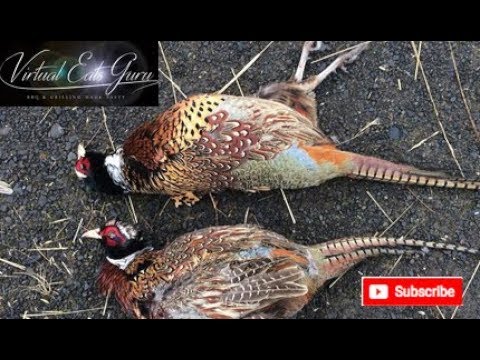 How to Cook Wild Pheasant Recipe