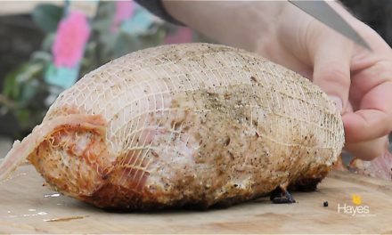 How to cook a Christmas turkey breast with bacon & cranberry on the Traeger Pro 22