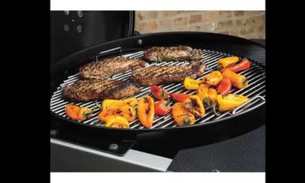 Weber Performer Deluxe Price Info | Weber 15502001 Performer Deluxe Charcoal Grill 22-Inch