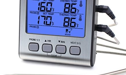 ThermoPro TP17 Dual Probe Digital Cooking Meat Thermometer Large LCD Backlight Food Grill Thermometer with Timer Mode for Smoker Kitchen Oven BBQ Review